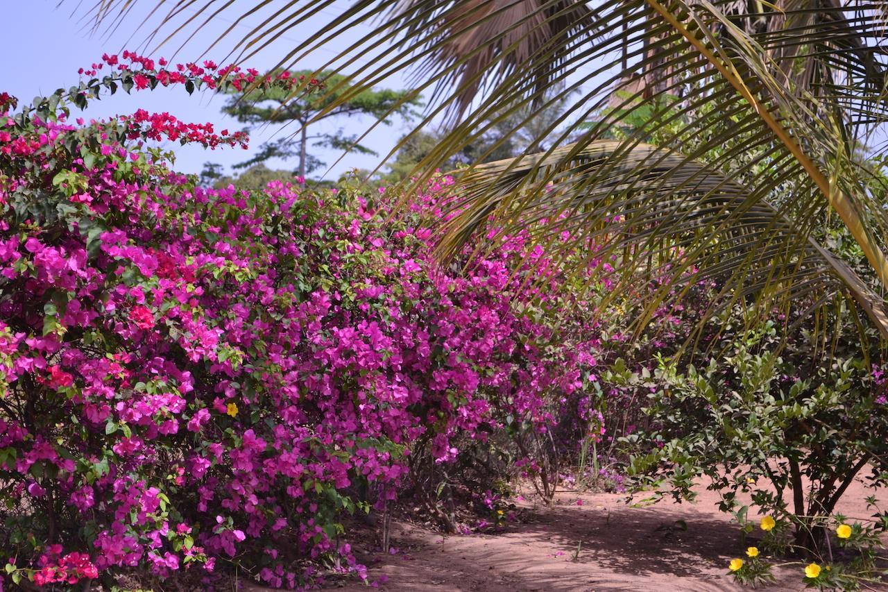Les Maisons De Marco Senegal - B&B Cap Skirring Exterior photo
